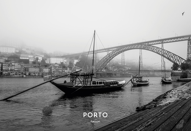 597_PO-11
